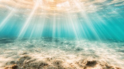 Wall Mural - Bright beams of sunlight filter through the water's surface, casting radiant patterns on the sandy ocean floor below