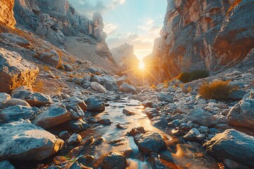 Wall Mural - Sun Setting Over a Mountain Stream