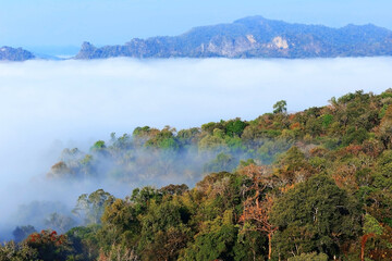 The beauty of the mist and the forest changing colors