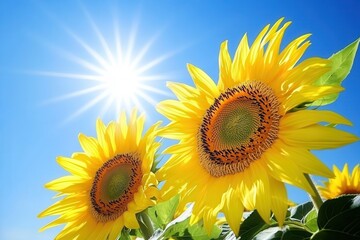 Poster - Bright sunflowers radiate joy as they bask in sunlight under a vivid blue sky, creating a vibrant outdoor atmosphere. Generative AI