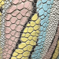 Sticker - Colorful Snake Skin Texture