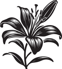 Lily flower black silhouette simple vector icon black and white