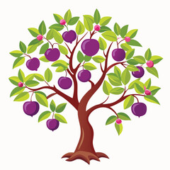 Wall Mural - Plum tree vector illustration in flat design isolated on white background.