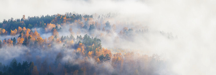 Wall Mural - Autumn forest in fog, forested hill, panoramic view, open space