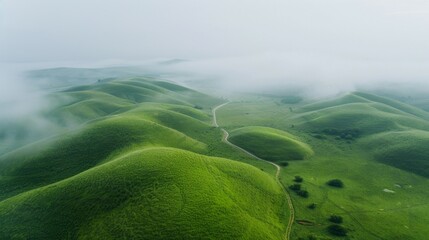 Poster - A vast, green hillside with a winding road that runs through it
