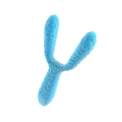 Chromosome Y isolated on black background. 3d illustration.