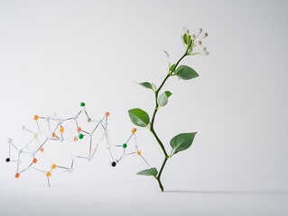 2408 186.a delicate plant is displayed alongside a detailed biochemistry structure, representing the