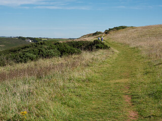 grassy footpath on the north cornwall coast path, with two walkers in the distance..