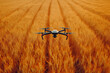 © Vovmar - Industrial drone over a wheat field. Modern technologies in agriculture. Generated by artificial intelligence