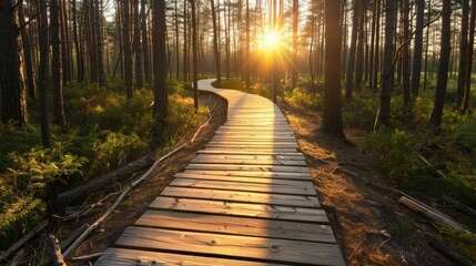  Sunset Walk Through a Golden Forest