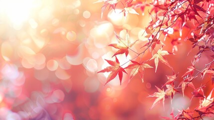 Poster - A close up of a tree branch with red leaves