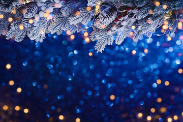 Wall Mural - Dark blue Christmas decoration background with fir tree branches and golden glitter sparkles of blur lights
