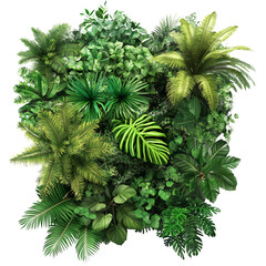 Wall Mural - a lush, green jungle-themed vertical garden wall with various tropical plants and trees, creates an 