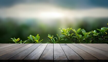 Abstract empty gray background with empty table top nature scene 