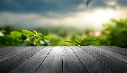 Abstract empty gray background with empty table top nature scene 