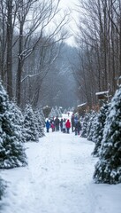 Poster - People walk down a snowy path lined with fir trees, towards a Christmas tree lot in the woods.