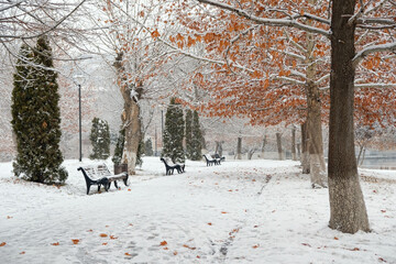 autumn park with first snow and fallen leaves. beautiful landscape of late autumn or early winter season. cold frozen weather