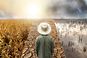 Wall Mural - agriculture threatened by extreme weather and climate change impacts.