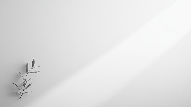 A simple, solid white background with smooth texture, perfect for adding text or placing objects in focus.