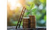 © Jack - A ladder leaning against a stack of coins, symbolizing climbing towards financial success and the progressive nature of saving and investing.