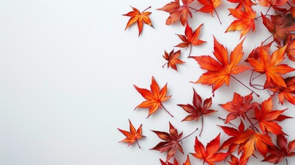 Poster - A white background with a bunch of red leaves scattered around it