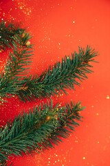 New Year, Christmas background. Branches of a green Christmas tree on a red background. Top view