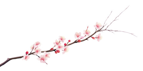 Wall Mural - png cherry blossom branch.