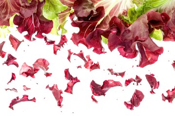 Wall Mural - Fresh and crisp red lettuce in a close-up shot, perfect for food or health-related content