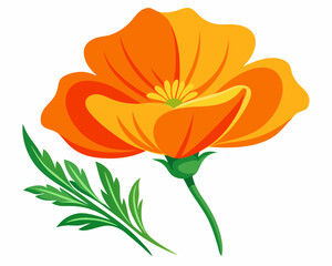 Poster - California Poppy Flower vector illustration on a white background