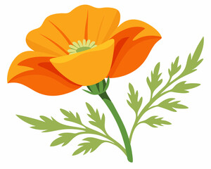 Poster - California Poppy Flower vector illustration on a white background