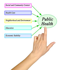 Sticker - Five Drivers of Public Health