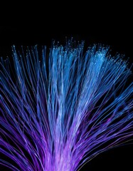 Poster - Blue and purple fiber optic lights