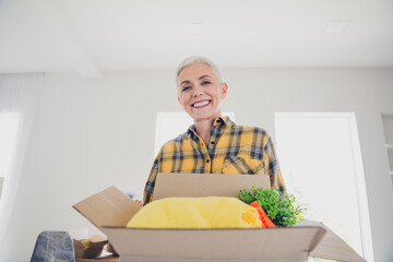 Poster - Portrait of pretty aged lady toothy smile hold box wear plaid shirt relocate move new flat indoors