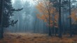 © DigitalDruid - Autumnal natural scenery featuring a foggy forest