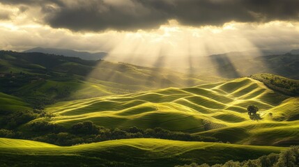 Wall Mural - rolling hills illuminated by sunlight breaking through the clouds, highlighting the curves of the la