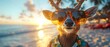 © Chanawat - This funny illustration of a reindeer wearing sunglasses and a Hawaiian shirt in a beachy atmosphere is perfect for use on holiday posters that can bring fun and laughter to people on any occasion.