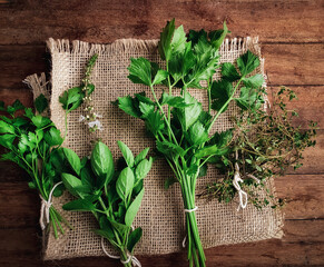 Green leaf seasoning, such as coriander, parsley, basil and thyme on a wooden background