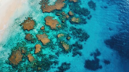 Aerial view of a colorful coral reef in shallow turquoise water, surrounded by white sand beaches.