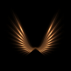 Wall Mural - Golden light wings with glowing on black background. Abstract gold light glowing wings with neon effect. Futuristic shiny vector illustration.