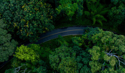 Aerial top view road in forest with car motion blur. Winding road through the forest. Car drive on the road between green forest. Ecosystem ecology healthy environment road trip.