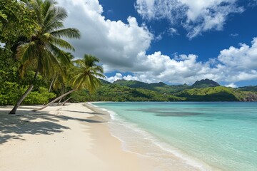 Wall Mural - Jamaica's beautiful beaches have palm trees and turquoise waters.