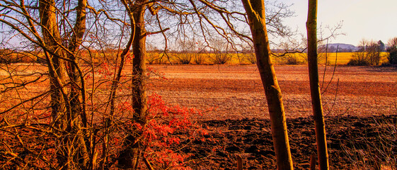 Poster - ploughed field soil and earth