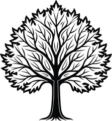 Simple line art Sycamore tree silhouette icon, vector illustration on white background.