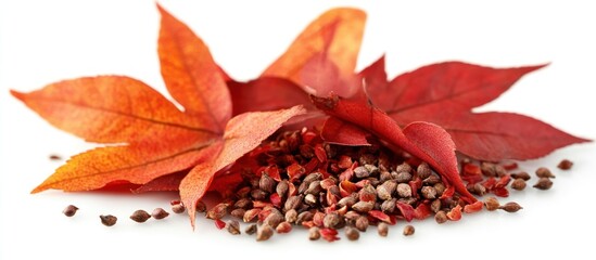 Poster - Pile of autumn leaves with scattered seeds.