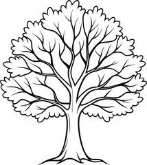 Simple line art Sycamore tree silhouette icon, vector illustration on white background.