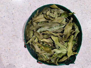 Dried mango leaves are put in a green basket. Dry the leaves to make compost. Compost from dry grass and leaves helps reduce waste in the garden. Compost substitute for chemical fertilizers for plant.