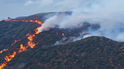 Poster - Devastating wildfire engulfs a dense forest, spreading rapidly with intense flames and billowing smoke, showcasing the destructive power of nature