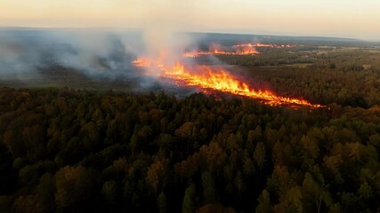 Poster - Aerial view of a wildfire burning through a forest at sunset, creating massive infernos and emitting smoke into the atmosphere