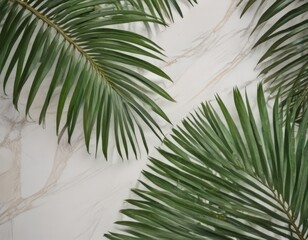 Poster - two large palm leaves with long, thin fronds against a marble background