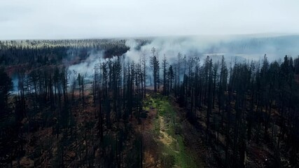 Poster - Smoke rises from a burnt forest, showing aftermath of wildfire. Aerial view highlights destruction and impact on nature. Urgent call for environmental protection and reducing carbon emissions